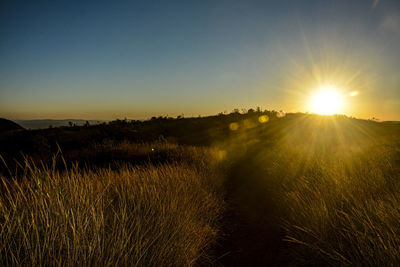 Scenic view of field against sky during sunset