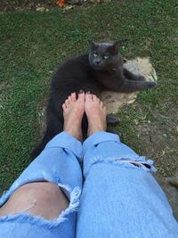 Low section of man sitting on grass