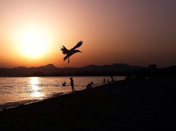 Scenic view of sea at sunset