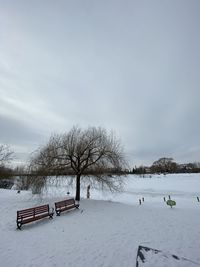 Bare trees on snow covered park against sky