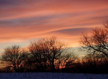 Silhouette trees on landscape against orange sky