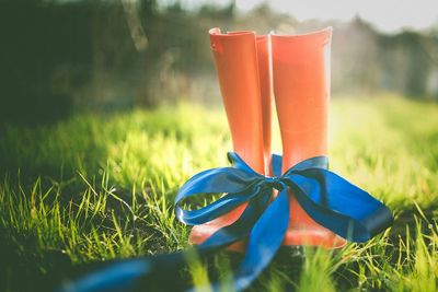 Close-up of rubber boot tied up with blue ribbon