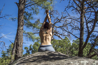 Low angle view of shirtless woman stretching in forest
