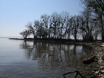 Scenic view of lake against clear sky