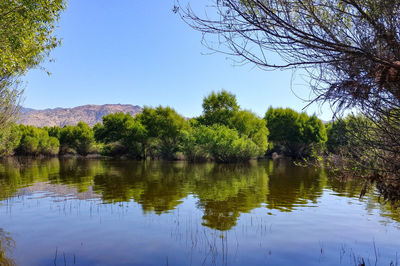 Scenic view of lake against clear sky