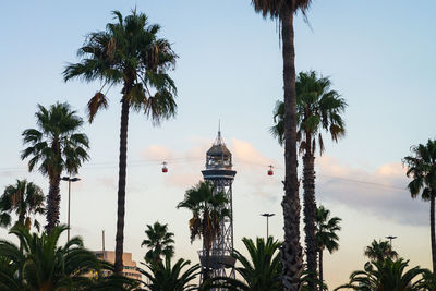 Palm trees and buildings against sky