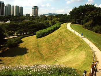 High angle view of trees and buildings in city