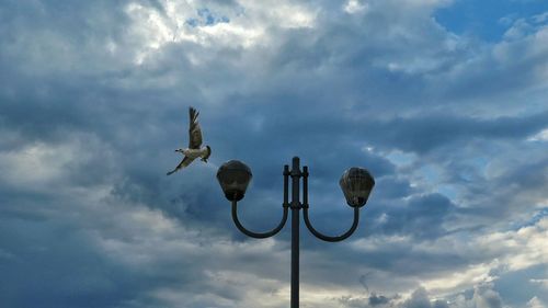 Low angle view of lamp post and bird against cloudy sky