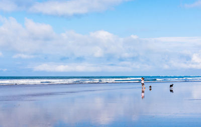 Person and dogs at shore against sky