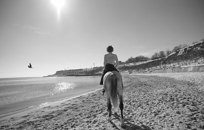Rear view of woman riding horse on beach against sky on sunny day