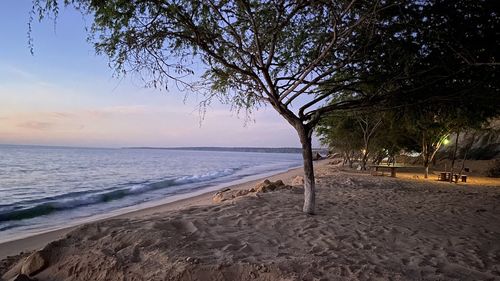 Scenic view of beach against sky