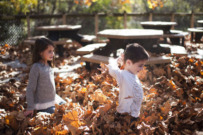 Siblings kneeling amidst fallen autumn leaves at park
