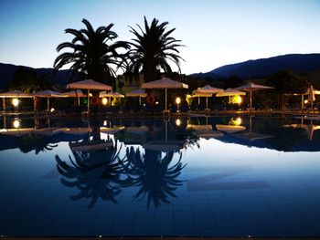 Swimming pool by palm tree against sky at night