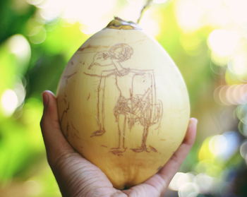 Close-up of hand holding coconut outdoors