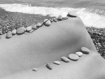 High angle view of shells on sand at beach