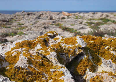 Close-up of rock on sea shore against sky