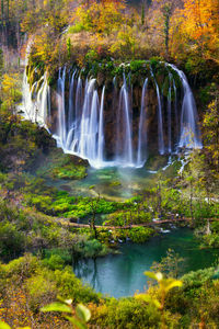 Scenic view of waterfall in forest