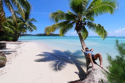 Full length of man lying on palm tree at beach