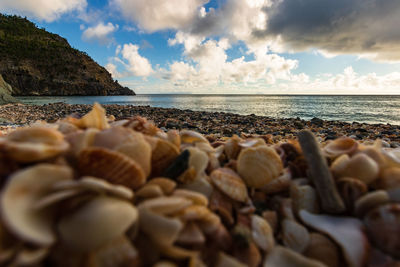 Surface level of pebble beach against sky