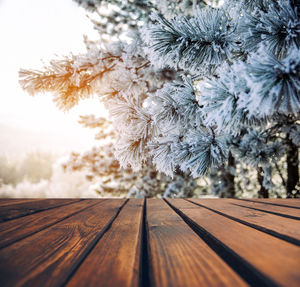 Close-up of snow on table against sky