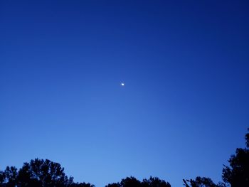 Low angle view of trees against clear blue sky