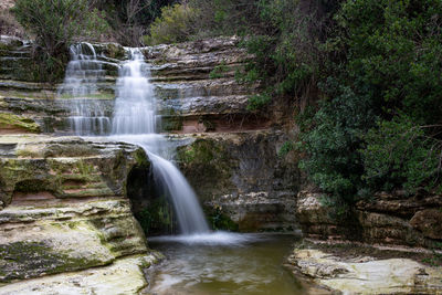 Scenic view of waterfall in forest