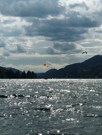 Seagull flying over sea against sky