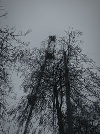 Low angle view of bare trees against sky