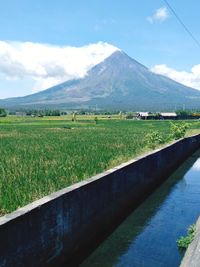 Scenic view of field against sky