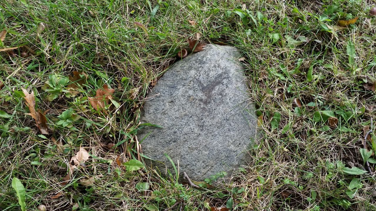 Random rock