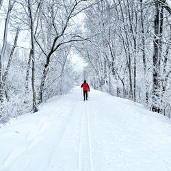 People skiing on snow covered landscape