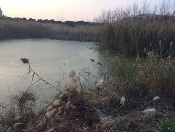 Scenic view of lake against sky