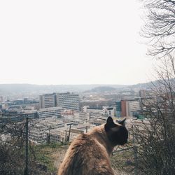 View of cityscape against clear sky