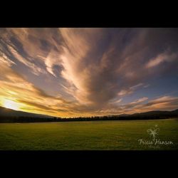 Scenic view of grassy field against cloudy sky