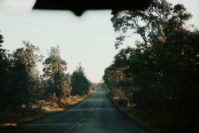 Road amidst trees against clear sky