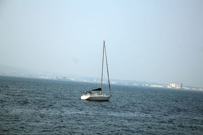 Sailboat sailing on sea against sky
