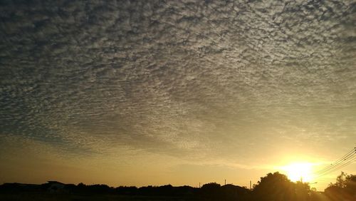 Silhouette trees against sky during sunset