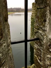 Reflection of trees in lake against sky