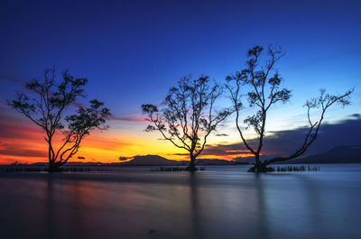 Silhouette trees by lake against sky during sunset