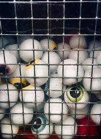 Close-up of birds in cage