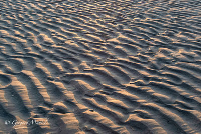 High angle view of sand dune