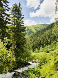 Scenic view of forest by mountains against sky