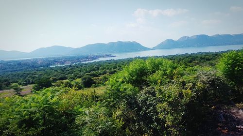 Scenic view of landscape against sky