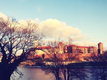 Reflection of bare trees in water