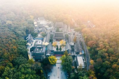 High angle view of trees and buildings in city