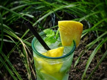 Close-up of drink on glass