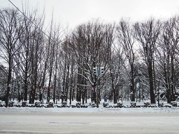 Bare trees during winter against sky