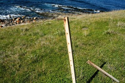 High angle view of wooden posts on beach