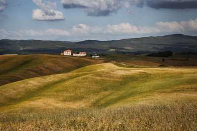 Scenic view of agricultural field against sky
