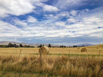 Scenic view of field against sky